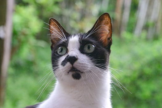 Decoración sostenible para hogares imagen 2